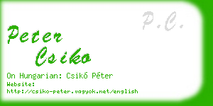 peter csiko business card