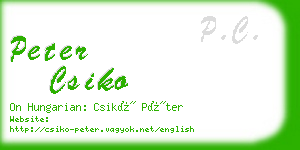 peter csiko business card